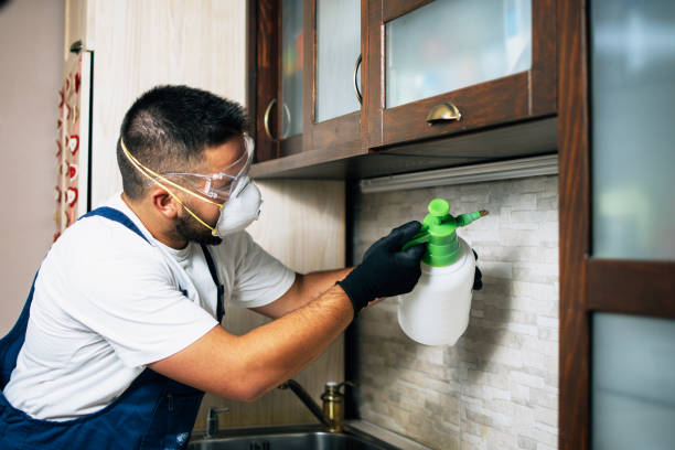 Best Pest Removal Services  in Rock Falls, IL